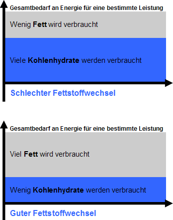 Schema Fettstoffwechsel